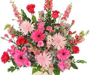 Cordia Blodgett, 82, of Louisa