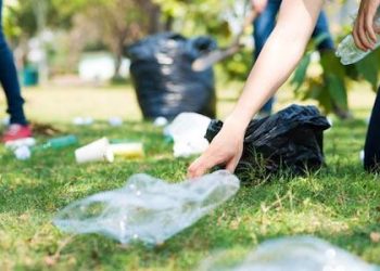WAYNE COUNTY CLEANUP DAY JUNE 15th