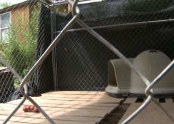 DOG GONE: ANIMAL RESCUE SHELTER SHUTS DOWN PRIVATE OPERATIONS