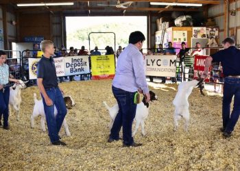 Louisa Ky Fair Grounds Market Show 2019