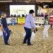 Louisa Ky Fair Grounds Market Show 2019