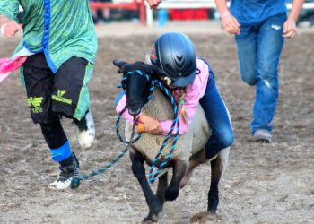 LAWRENCE FAIR RODEO IS ‘BIG HIT’ WITH FAIRGOERS 2019