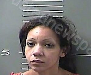 LOUISA WOMAN CHARGED WITH ASSAULTING OFFICER, DRIVING STOLEN CAR