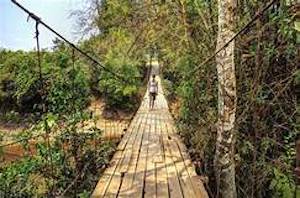 GROWING UP IN LOUISA:  Corduroy Roads, Bridges and Things