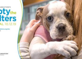 BISSELL Pet Foundation Releases its Next ‘Empty the Shelters’ Adoption Date