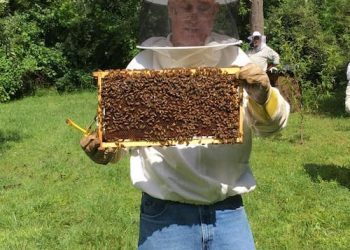  Integrating Social Change: Bee Happy Farm