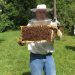 Integrating Social Change: Bee Happy Farm