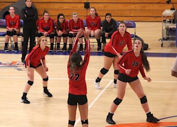 Tolsia Volleyball goes 2-0 in Tri-Match, VolleyDawgs 1-1