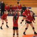Tolsia Volleyball goes 2-0 in Tri-Match, VolleyDawgs 1-1