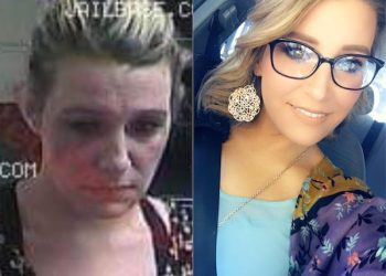 The Crisis to Career Chronicles:  Andrea Cline’s Story