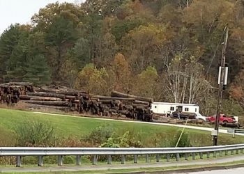 Hard times for hardwood in Kentucky