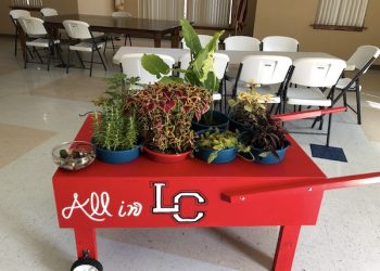 ‘Ask a Master Gardeners Day’ to be held at Wellmans Hardware