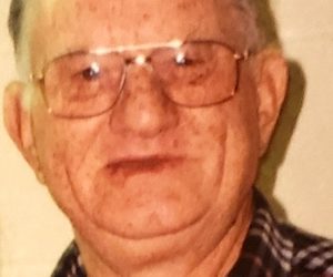 Wayne Emerson Perkins, 90, of Webbville, KY
