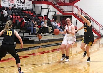 Lady Dawgs lose close one to Johnson Central