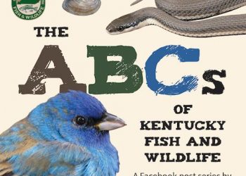 ABCs of fish and wildlife are now available in print-friendly format!