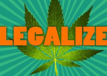 State rep files bill to legalize marijuana sales, give proceeds to state pensions