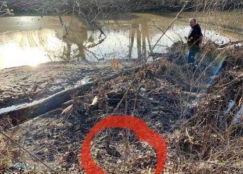 Fallsburg oil leak source remains a mystery, Lawrence DES says