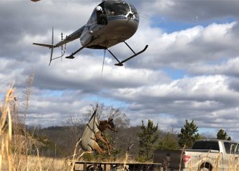 NEW STUDY ANNOUNCED ON KENTUCKY’S ELK POPULATION
