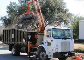 LAWRENCE AMONG COUNTIES ELIGIBLE FOR $500,000 IN AVAILABLE GRANTS FOR DEBRIS REMOVAL