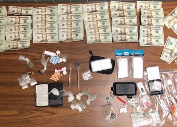 LOUISA POLICE, SHERIFF MAKE DRUG BUST IN CITY