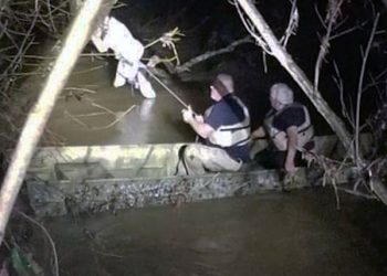 Woman clinging to tree branch in Cumberland River rescued