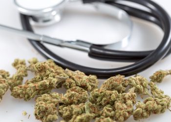 Kentucky House Approves Medical Marijuana Legalization Bill