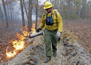 Forest Fire Hazard Season Has Begun