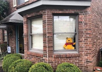 Hunting for bears: Families connect during a pandemic