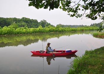Art Lander’s Outdoors: A look at the impact of COVID-19 outbreak on outdoor activities in Ky.