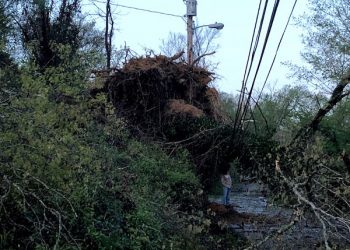 More than 59,000 Ky Power customers were without power