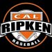 LAWRENCE CO. CAL RIPKEN BASE/SOFTBALL LEAGUE IS A ‘GO’ FOR 2020