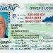 KY. DRIVERS LICENSES, ID CARDS CAN NOW BE OBTAINED BY MAIL