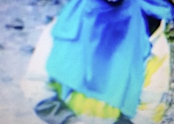 SEARCHING INVESTIGATION CONTINUES  ‘BUZZING’ IN THE CASE OF THE HONEYBEE HIVE THEFT