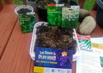 LAWRENCE CO. EXTENSION OFFICE REOPENING AFTER PANDEMIC SHUTDOWN