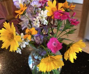 Precious time in the family garden is heaven…