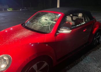 $1,000 REWARD OFFERED FOR INFO ON LOUISA VANDALISM
