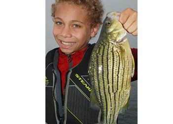 While Kentucky Suffers, Gov. Andy Beshear plays the ‘Blame Game’