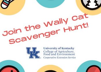 IN LOUISA: JOIN THE WALLY CAT SCAVENGER HUNT!
