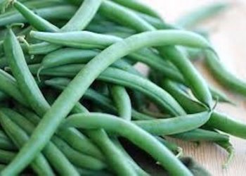 GROWING UP IN LOUISA…Gardening the old way