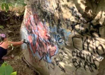 National parks getting trashed during pandemic