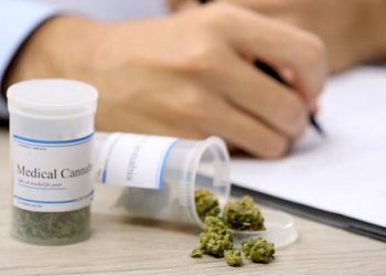 SULLIVAN UNIVERSITY OFFERING INTRODUCTION TO CANNABIS THIS FALL 