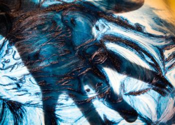 Documentary series on American poetry focuses on Kentucky; essays accepted until Sept. 15