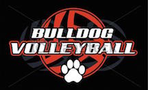 HIGH SCHOOL: VOLLEYBALL, BOYS SOCCER set to begin Sept. 7;  Volleydawgs open with Johnson Central