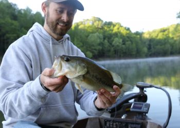 Largemouth bass remains most popular gamefish in Kentucky