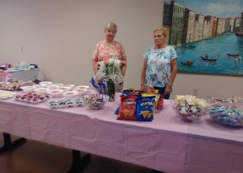 Louisa DAR holds August meeting