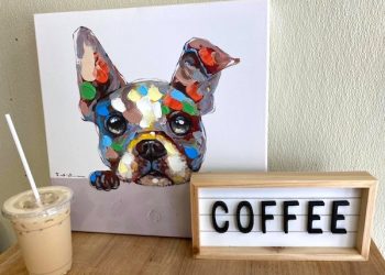 Louisa Rotary Still Meeting via Zoom: This week Austin Hughes tells about Doggie Doodle