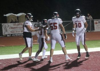 Dawgs and Hawks open up the Playoffs tonight in Louisa at 7:00