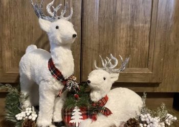 Homemade Christmas At Grace FWB Church
