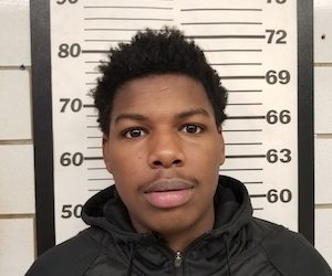 WAYNE CO SHERIFF’S DEU NABS DETROIT SUSPECT