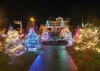 2020 Louisa Christmas parade was a huge success along with the tinsel trail (SLIDESHOW)
